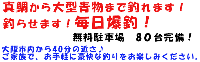 海上釣堀・海釣ぽ～と　田尻の公式サイトです。真鯛から大型青物まで釣れます！釣らせます！毎日爆釣！！