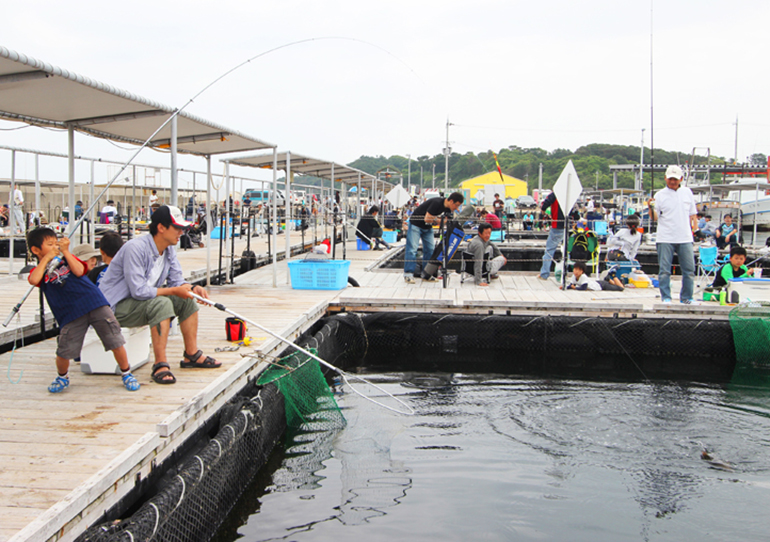 海上釣堀 田尻 海上釣堀 海釣ぽ と 田尻の公式サイトです 真鯛から大型青物まで釣れます 釣らせます 毎日爆釣